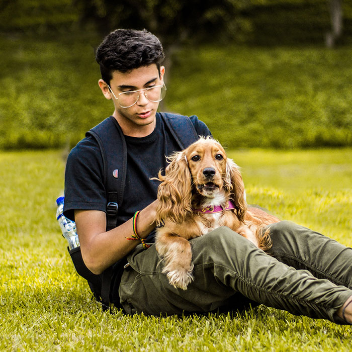 Man holding dog Hundeschule in Tirol - Zirl und Aldrans - positiv verstärken - tierschutzqualifiziertes Hundetraining