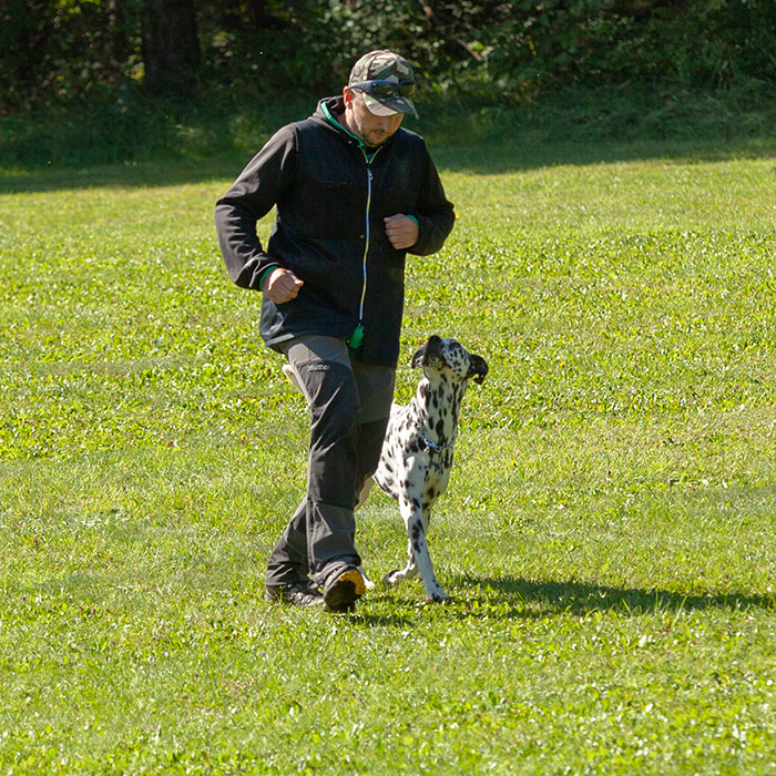 Hundeschule in Zirl und Aldrans in Tirol mit tierschutzqualifiziertem Hundetrainer