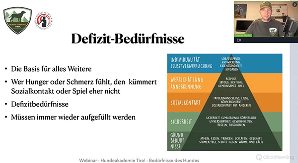 Webinar-Weiterbildung-Tierschutzqualifizierte Hundetrainier