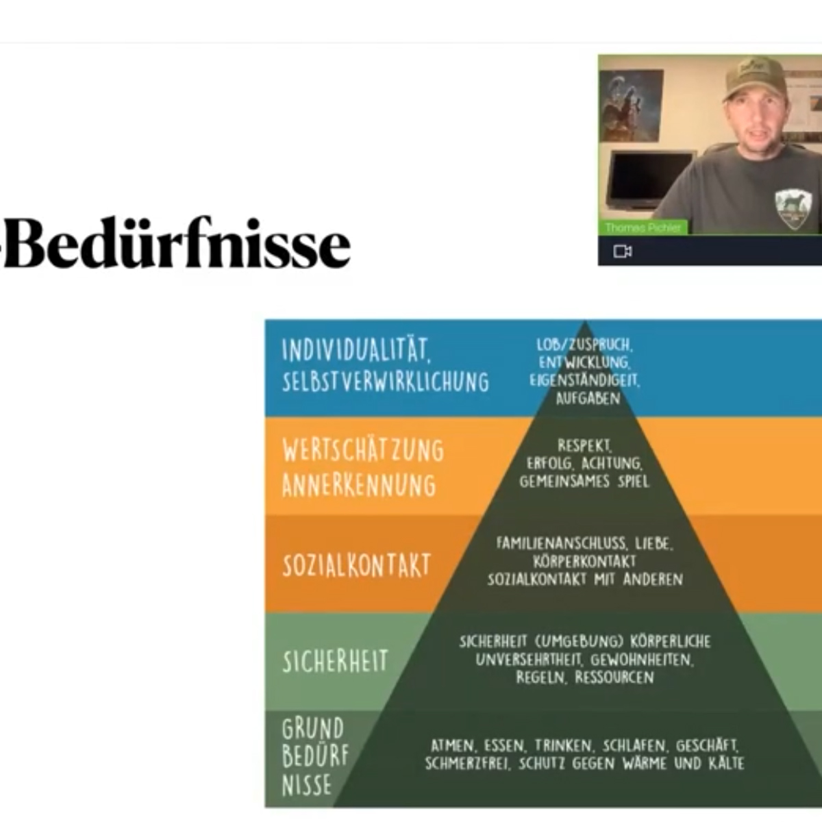 Webinar - Bedürfnisse des Hundes - Hundeschule Tirol